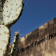 Illustration for article titled Arizona Won't Block Planned Parenthood State Funding After All